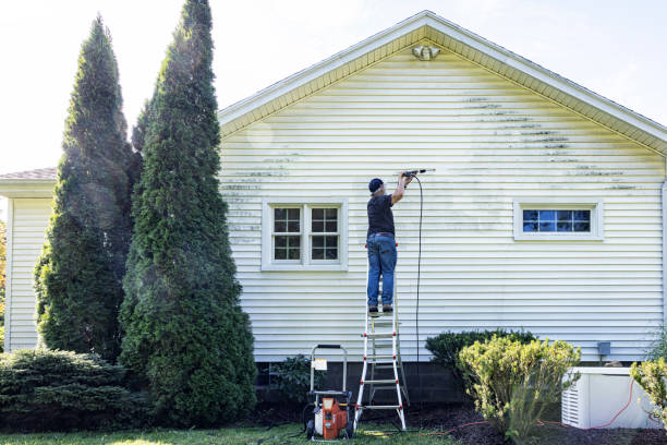 Best Driveway Pressure Washing  in Arcade, GA